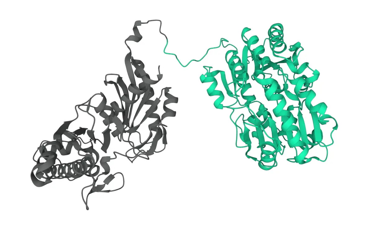 pae image 5